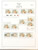 Kavel 2379 (98)