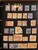 Kavel 2303 (257)