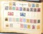 Lot 2008 (56)