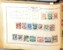 Lot 2008 (146)