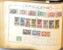Lot 2008 (276)