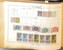 Lot 2008 (311)