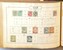 Lot 2008 (542)