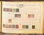 Lot 2008 (556)