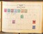 Lot 2008 (568)