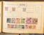 Lot 2008 (609)