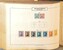 Lot 2008 (813)