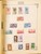 Kavel 2003 (343)