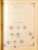 Kavel 2003 (458)