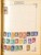 Kavel 2003 (489)