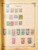Kavel 2003 (781)