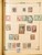 Kavel 2003 (981)