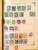 Kavel 2003 (1275)