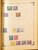 Kavel 2003 (1295)