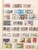 Kavel 2143 (37)