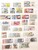 Kavel 2143 (42)