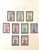 Kavel 2371 (921)