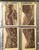 Kavel 2543 (530)