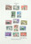 Kavel 2257 (100)