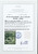 Lot 2282 (43)
